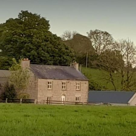 The Hollow Tullow Exterior foto